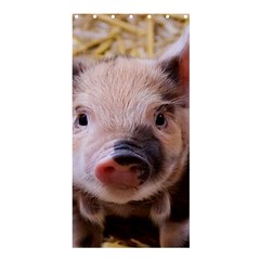 Sweet Piglet Shower Curtain 36  X 72  (stall) 