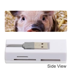 Sweet Piglet Memory Card Reader (stick) 