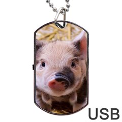 Sweet Piglet Dog Tag Usb Flash (two Sides) 