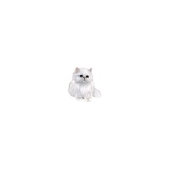 White Persian Cat Clipart Shower Curtain 48  X 72  (small) 