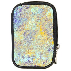 Abstract Earth Tones With Blue  Compact Camera Cases