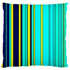 Hot Stripes Aqua Large Cushion Cases (Two Sides) 