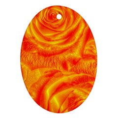 Gorgeous Roses, Orange Oval Ornament (Two Sides)
