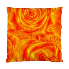 Gorgeous Roses, Orange Standard Cushion Case (One Side) 