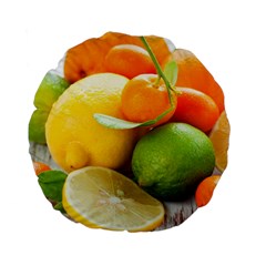 Citrus Fruits Standard 15  Premium Round Cushions by emkurr