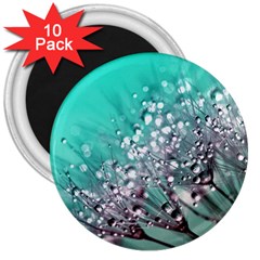 Dandelion 2015 0701 3  Magnets (10 Pack)  by JAMFoto