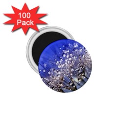 Dandelion 2015 0704 1 75  Magnets (100 Pack)  by JAMFoto