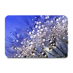 Dandelion 2015 0704 Plate Mats