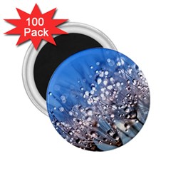 Dandelion 2015 0703 2 25  Magnets (100 Pack)  by JAMFoto