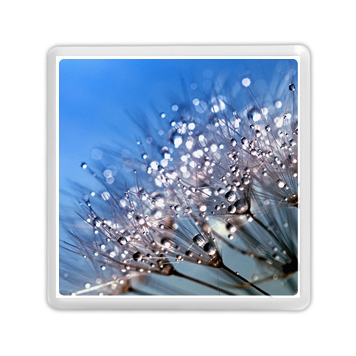 Dandelion 2015 0703 Memory Card Reader (Square) 