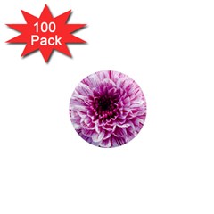 Wonderful Flowers 1  Mini Magnets (100 pack) 