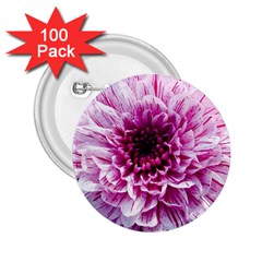 Wonderful Flowers 2.25  Buttons (100 pack) 