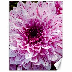 Wonderful Flowers Canvas 18  x 24  