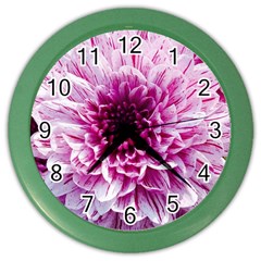 Wonderful Flowers Color Wall Clocks