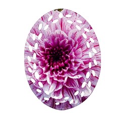 Wonderful Flowers Oval Filigree Ornament (2-Side) 