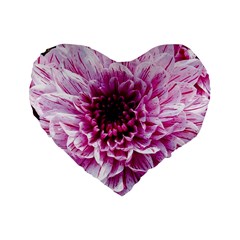 Wonderful Flowers Standard 16  Premium Heart Shape Cushions