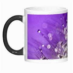 Dandelion 2015 0706 Morph Mugs