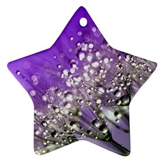 Dandelion 2015 0706 Star Ornament (Two Sides) 