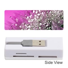 Dandelion 2015 0708 Memory Card Reader (stick)  by JAMFoto