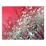 Dandelion 2015 0710 Double Sided Flano Blanket (Large)  80 x60  Blanket Front