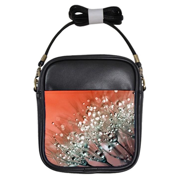 Dandelion 2015 0711 Girls Sling Bags