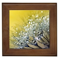 Dandelion 2015 0713 Framed Tiles