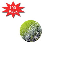 Dandelion 2015 0714 1  Mini Magnets (100 Pack) 