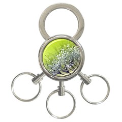 Dandelion 2015 0714 3-ring Key Chains