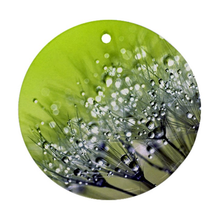 Dandelion 2015 0714 Round Ornament (Two Sides) 