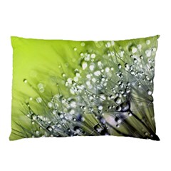 Dandelion 2015 0714 Pillow Cases (two Sides)