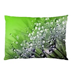 Dandelion 2015 0715 Pillow Cases (two Sides) by JAMFoto