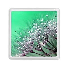 Dandelion 2015 0718 Memory Card Reader (square) 