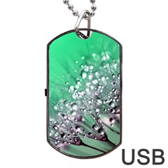 Dandelion 2015 0718 Dog Tag Usb Flash (two Sides)  by JAMFoto