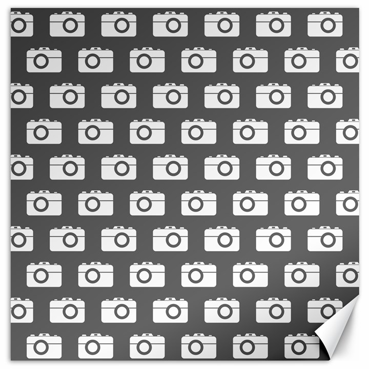 Modern Chic Vector Camera Illustration Pattern Canvas 16  x 16  