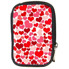 Heart 2014 0937 Compact Camera Cases by JAMFoto