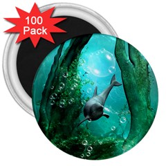 Wonderful Dolphin 3  Magnets (100 pack)