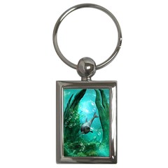 Wonderful Dolphin Key Chains (Rectangle) 