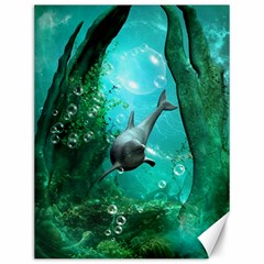 Wonderful Dolphin Canvas 12  x 16  