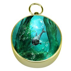 Wonderful Dolphin Gold Compasses