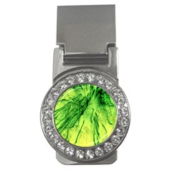 Special Fireworks, Green Money Clips (cz)  by ImpressiveMoments