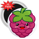 Raspberry 3  Magnets (10 pack)  Front