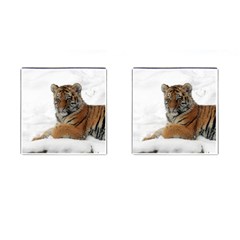 Tiger 2015 0101 Cufflinks (square) by JAMFoto