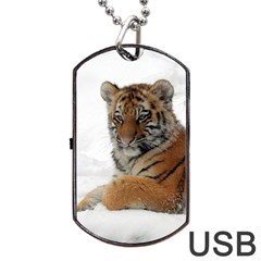 Tiger 2015 0101 Dog Tag Usb Flash (one Side) by JAMFoto