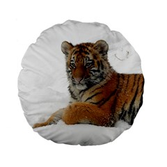 Tiger 2015 0101 Standard 15  Premium Flano Round Cushions by JAMFoto