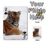 Tiger 2015 0102 Playing Cards 54 Designs  Front - Club2