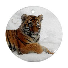 Tiger 2015 0102 Round Ornament (two Sides)  by JAMFoto