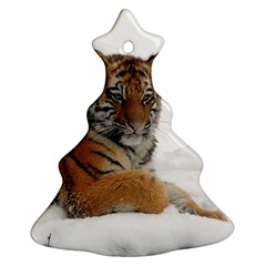 Tiger 2015 0102 Christmas Tree Ornament (2 Sides) by JAMFoto