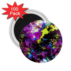 Colour Splash G264 2 25  Magnets (100 Pack)  by MedusArt