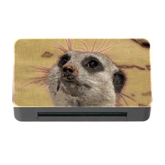 Meerkat 2 Memory Card Reader With Cf by ImpressiveMoments