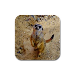 Lovely Meerkat 515p Rubber Square Coaster (4 Pack)  by ImpressiveMoments